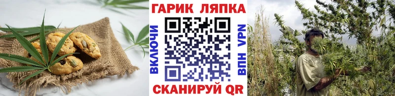 как найти   Ковылкино  Еда ТГК марихуана 