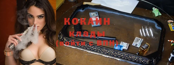 прущие грибы Алзамай