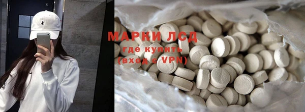 прущие грибы Алзамай