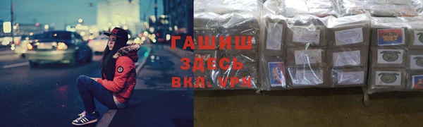 прущие грибы Алзамай