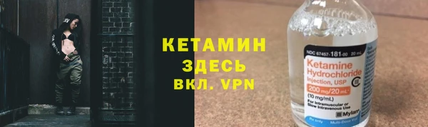 крисы Алексин