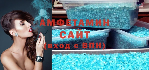 прущие грибы Алзамай