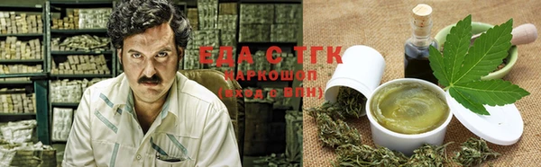 прущие грибы Алзамай