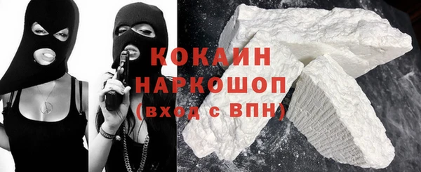 крисы Алексин