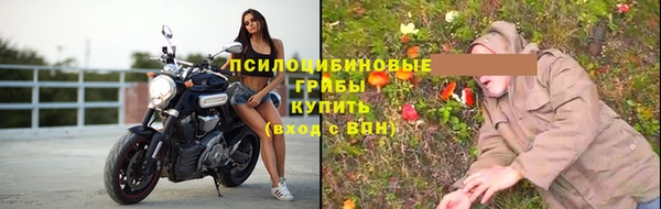 прущие грибы Алзамай