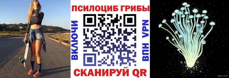 Галлюциногенные грибы Magic Shrooms  продажа наркотиков  Ковылкино 